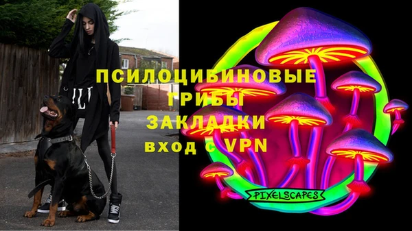 тгк Вязьма